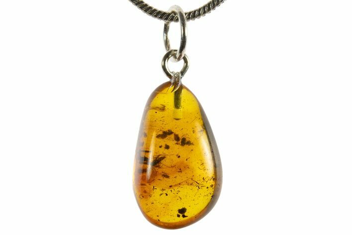 Polished Baltic Amber Pendant (Necklace) - Contains Fly & Debris! #339563
